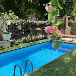 check availability